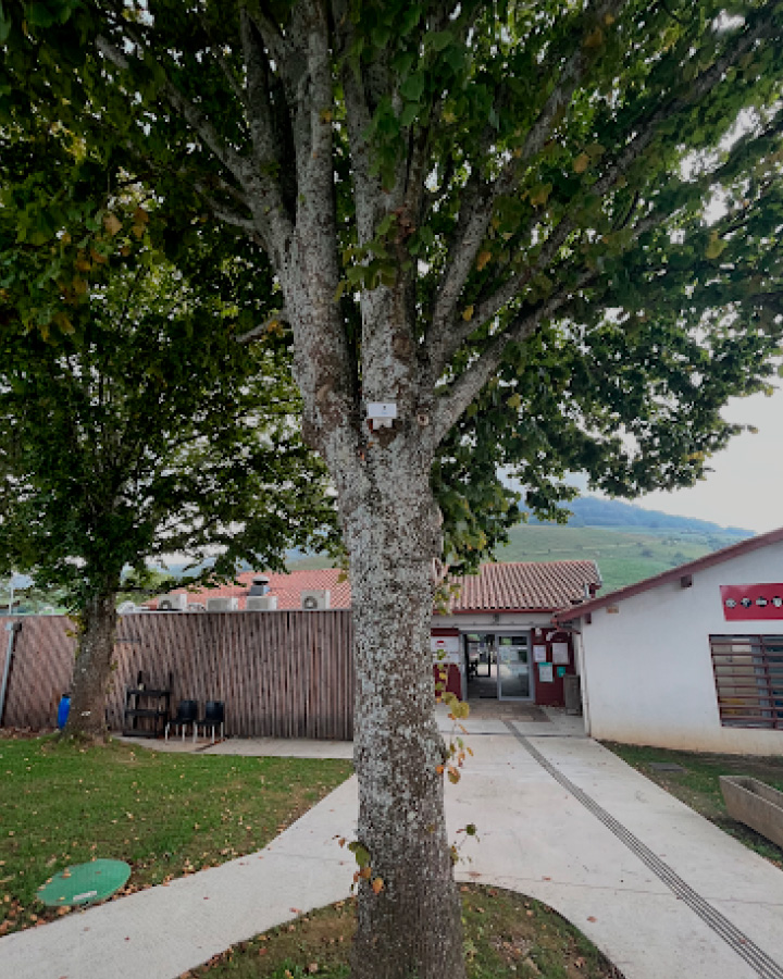 ZURE BEGIRADA | Contador de visión artificial