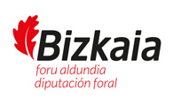 ZURE BEGIRADA | Bizkaia Foru Aldundia